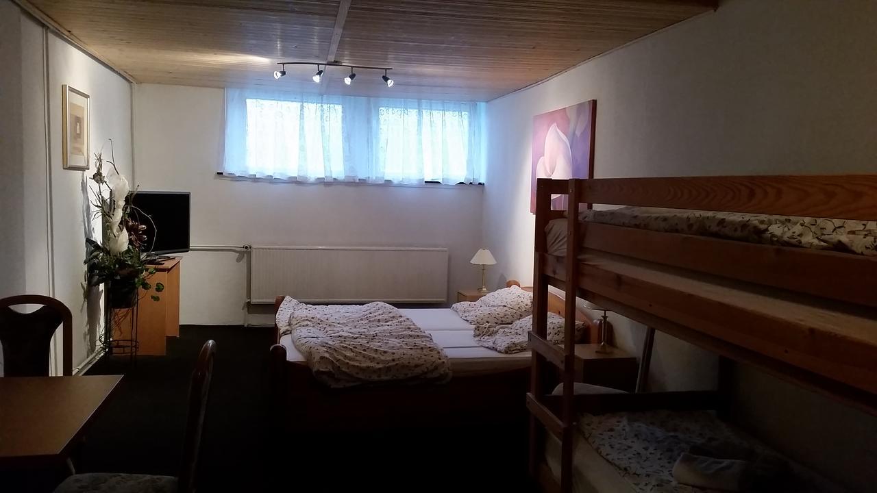 Pension Und Restaurant Die Burg Ehrenfriedersdorf Eksteriør billede
